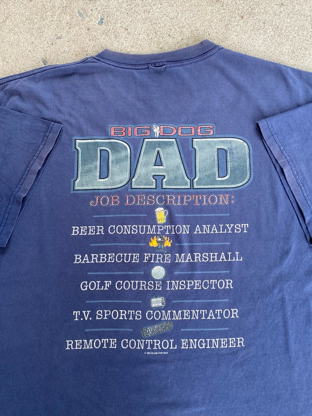 Vintage 2002 Big Dog DAD Humor Tee Shirt